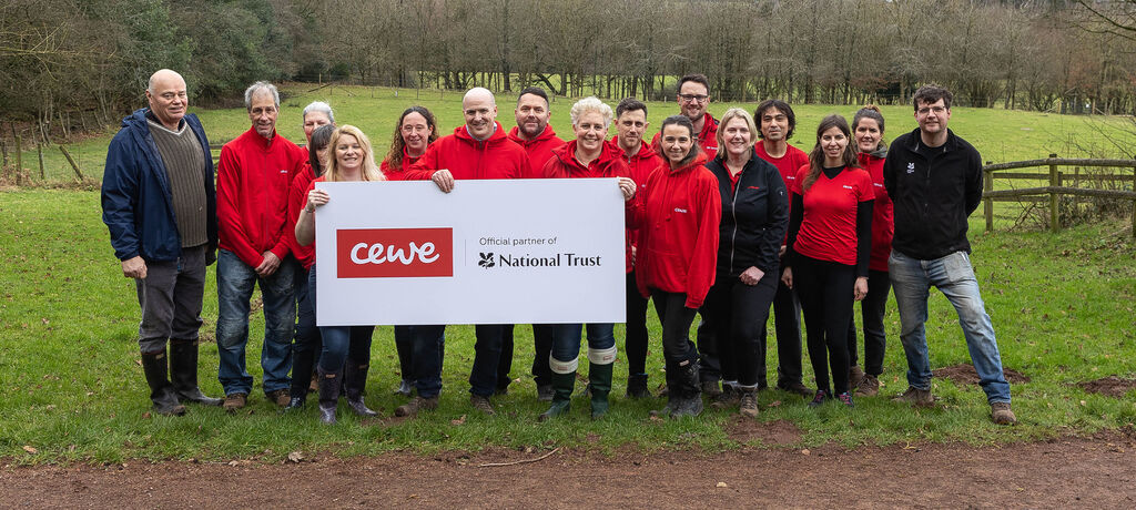 A group of CEWE employees happily poses in front of a green meadow